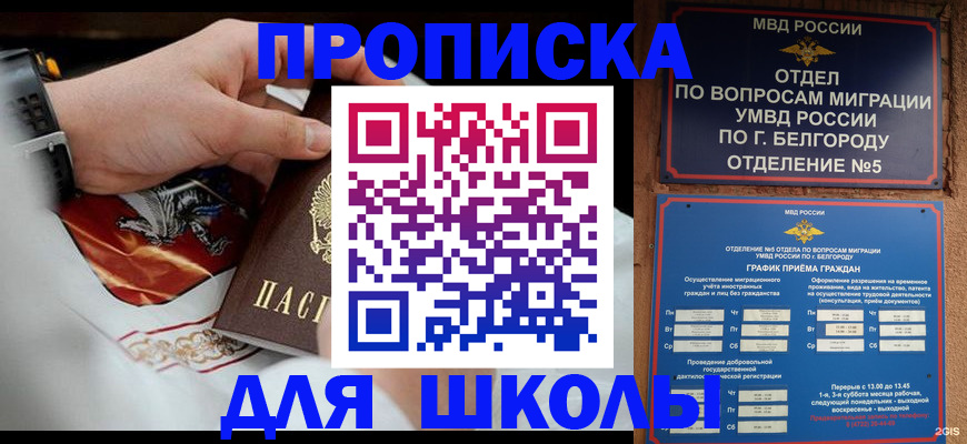 пропишу в квартире в Дальнегорске